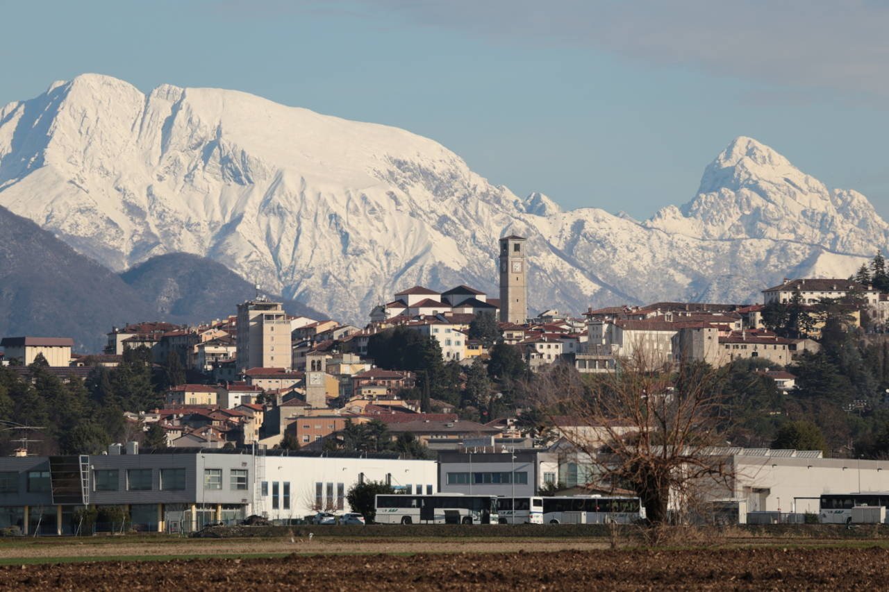 RADICI NEL TERRITORIO RADICI NEL TERRITORIO